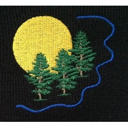 Valmieras Pārgaujas sākumskolas LOGO jeb EMBLĒMA