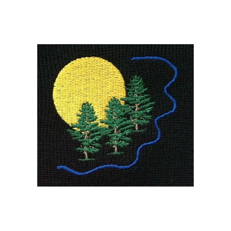 Valmieras Pārgaujas sākumskolas LOGO jeb EMBLĒMA