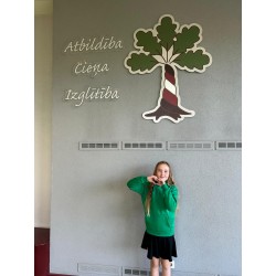 Džemperis ar kapuci