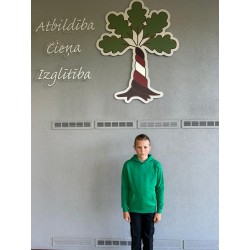 Džemperis ar kapuci