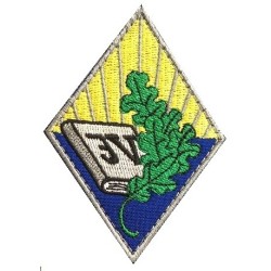Jaunjelgavas vidusskolas LOGO jeb EMBLĒMA