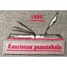 Laucienes pamatskolas LOGO jeb EMBLĒMA