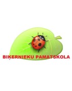 Biķernieku pamatskola