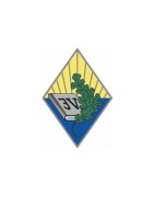 Jaunjelgavas vidusskola