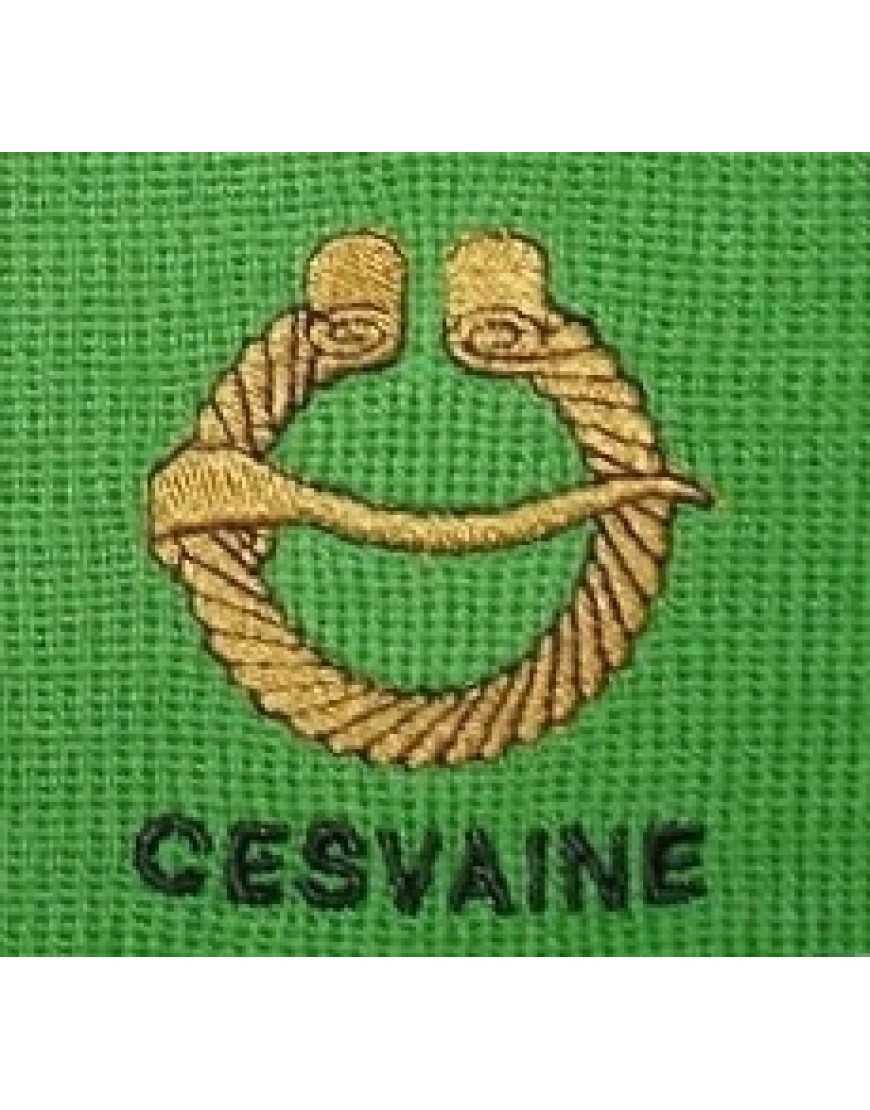 Cesvaines vidusskolas LOGO jeb EMBLĒMA